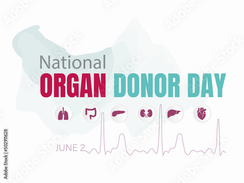 Vectorial illustration with 6 icons of the main organs that can be transplanted on white background.