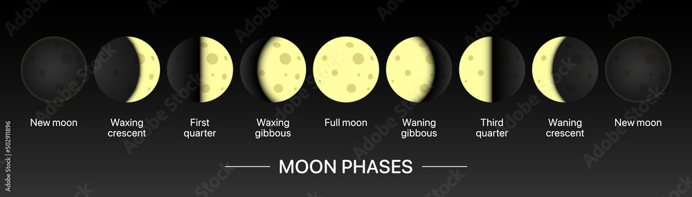 Moonlight movement calendar horizontal banner. Moon phases chart vector ...