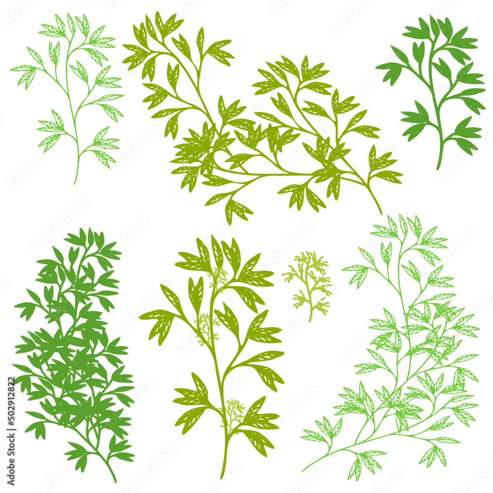 foliage silhouette leaves, set of herbs isolated