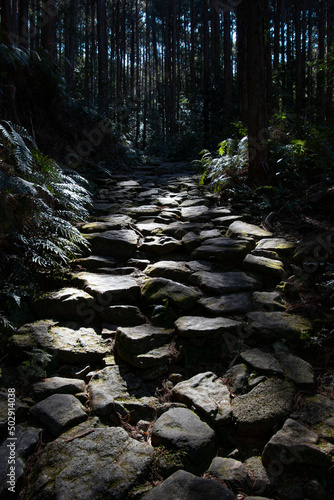 World Heritage Kumano Kodo