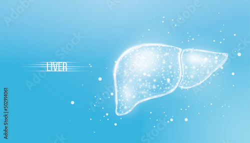 Human liver. Wireframe low poly style. Concept for medical, treatment of the hepatitis. Abstract modern 3d vector illustration on blue background
