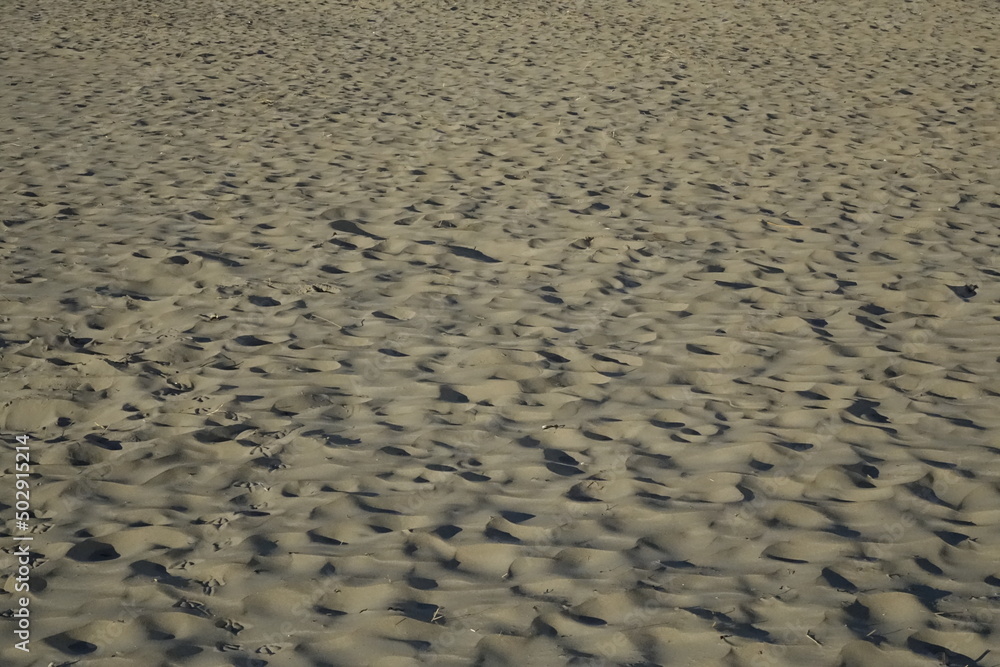 Traces and footsteps in the North Sea beach sand at dusk, use: background, copy space, concept: holiday, relax (horizontal), Zandvoort, North Holland, Netherlands Traces and footsteps in the North Sea beach sand at dusk, use: background, copy space, concept: holiday, relax (horizontal), Zandvoort, North Holland, Netherlands