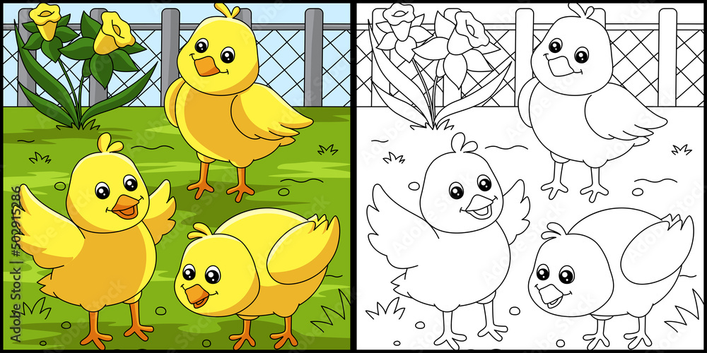 Chicks Coloring Page Colored Illustration Stock Vector | Adobe Stock