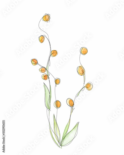 Vector illustration of watercolor flower with black line. Design for interior decoration  postcards  paintings and websites. Set of multicolored flowers. Vector isolated flowers on a white background