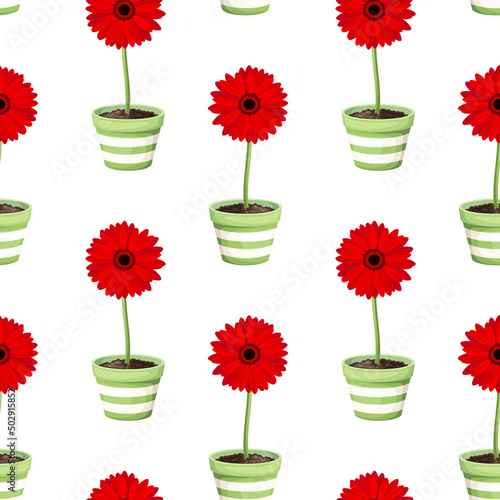 Seamless pattern with red gerbera flowers in green flowerpots on a white background. Vector illustration