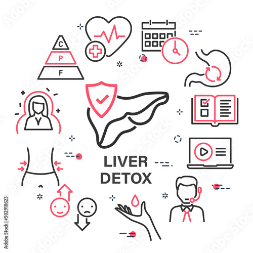 Vector banner with Liver Detox and health care icons