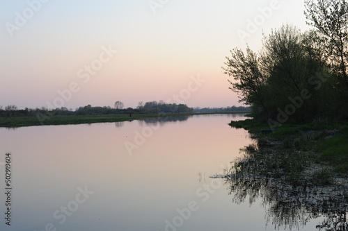 Peaceful river and trees with sky reflecting in spring in Europe