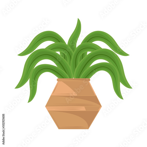 decorative houseplant icon