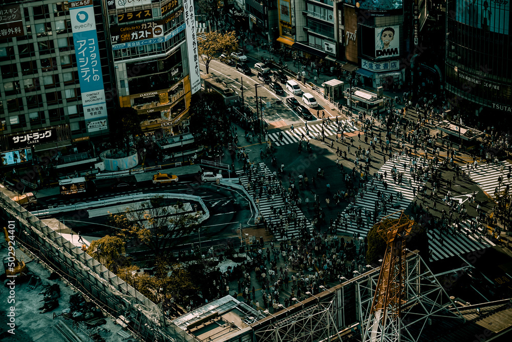 Fototapeta premium 渋谷駅前の町並み