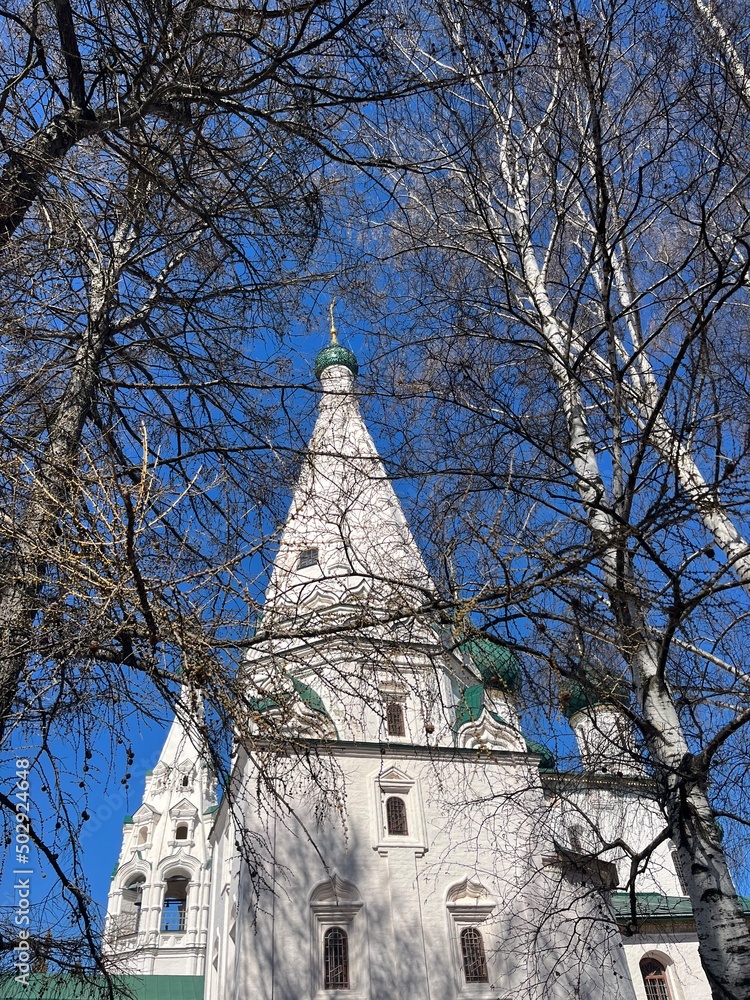leafless birches and white orthodox church 