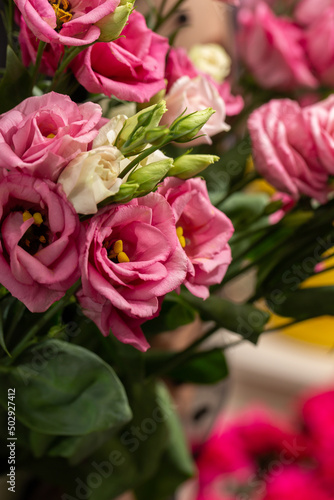 Beautiful Eustoma white and pink eustoma on blurred background. Wedding invitation in minimalist style with eustoma. Copy space. Mother s day card