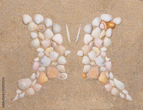 Butterfly or two profile side silhouette created of sea shells on sand background. Top view optical illusion appropriate to illustrate human friendship, relationship, emotions and communication.