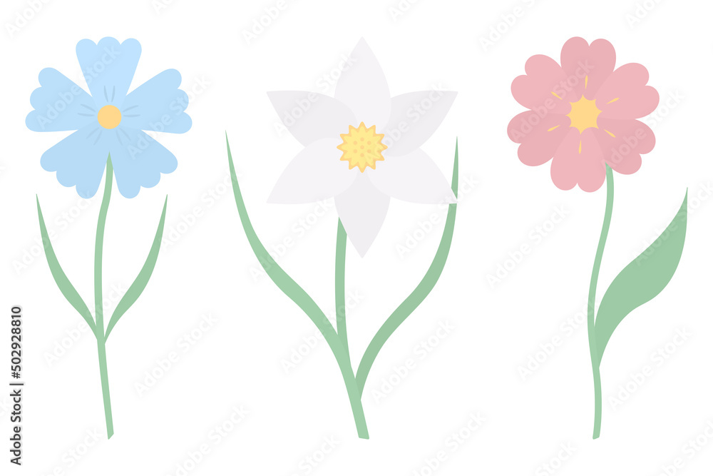 Flowers. Set of vector illustrations. Cornflower, daffodil. Delicate plants with green leaves. Flowering plants with a yellow heart. Flat style. Isolated background. Idea for web design, invitations