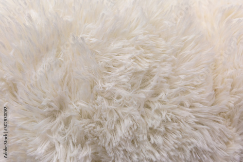 The texture is formed by white villi of carpet as a background. It looks like animal fur.