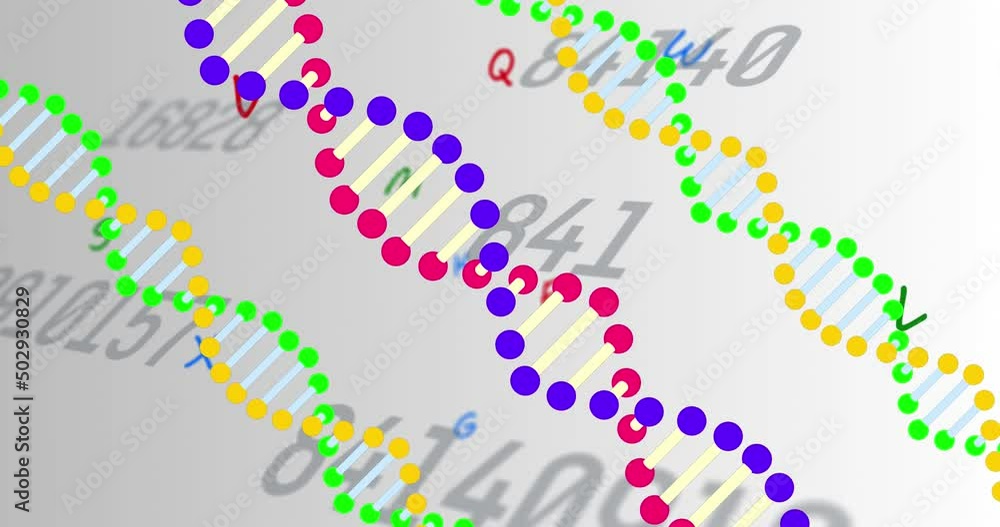 Colorful dna structures spinning against multiple changing numbers on grey background Colorful dna structures spinning against multiple changing numbers on grey background