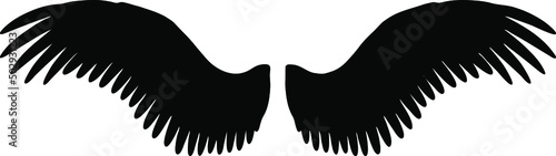 Leinwand Poster Angel wings vector silhouette, wings isolated on white background, divine art co