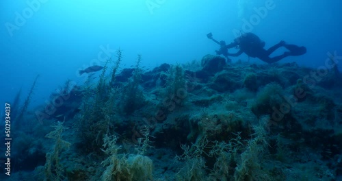 Wallpaper Mural scuba divers exploring the reefs and topography underwater Torontodigital.ca