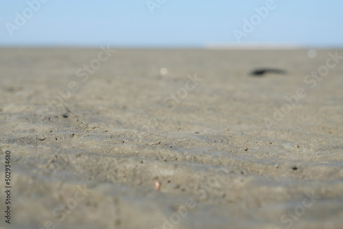 FU 2020-08-12 Fries T3 423 Im Sand sind Wellen