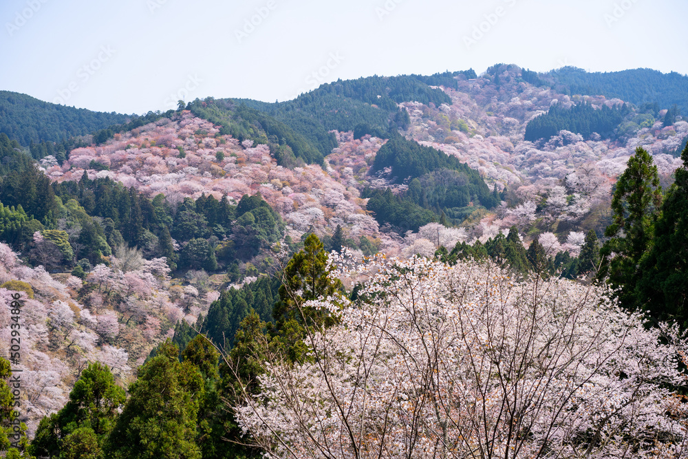 風景 風景