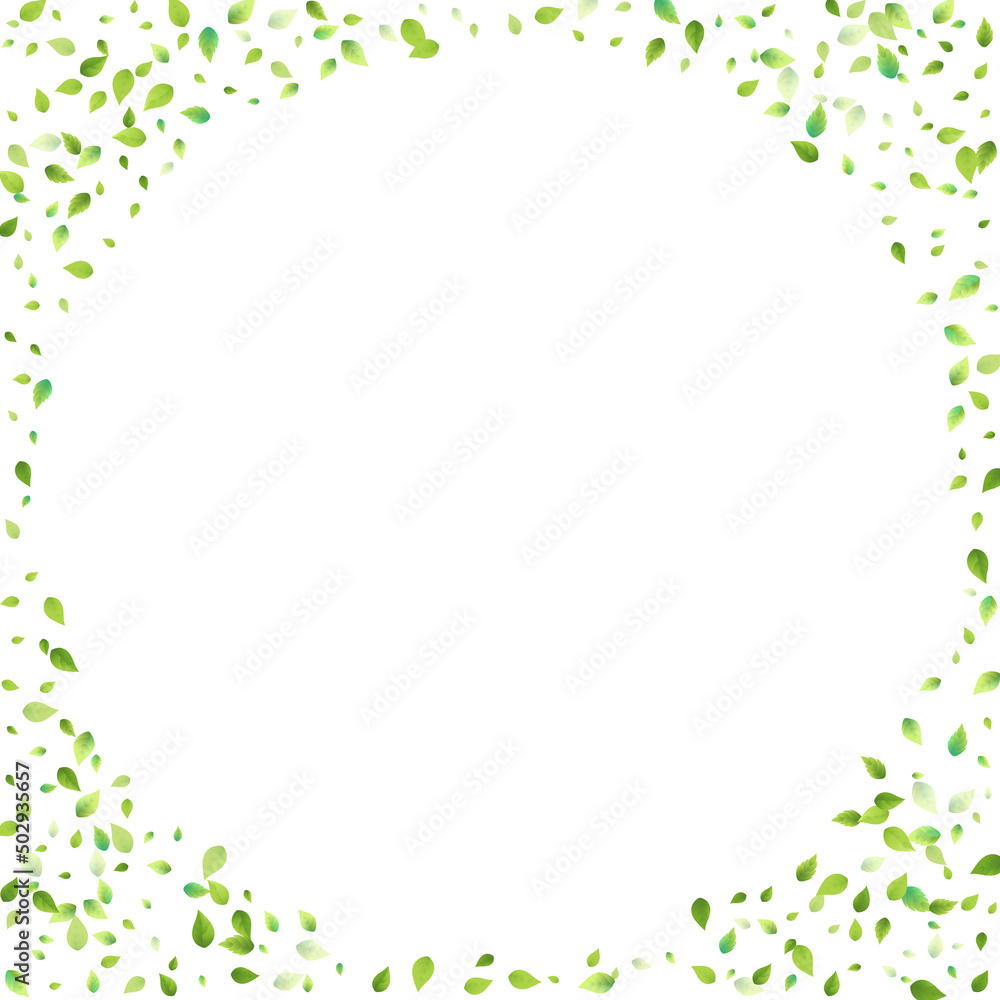 Leaves Green Falling Flying Foliage Leaf Tea Mint Leaves Green Falling Flying Foliage Leaf Tea Mint