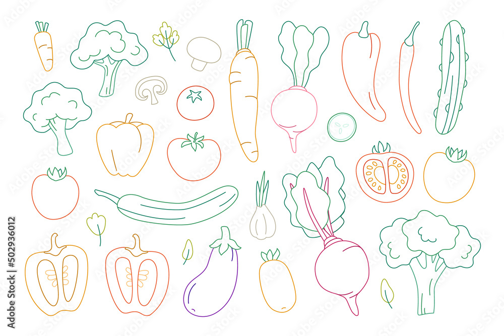 Set of vegetables. Fresh organic food drawn with contour lines on a white background. Vector illustration.