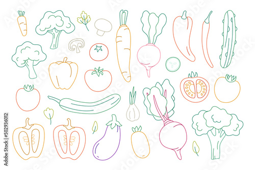 Set of vegetables. Fresh organic food drawn with contour lines on a white background. Vector illustration.