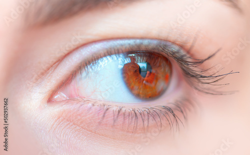 Close up image of beautiful girl hazel eye 