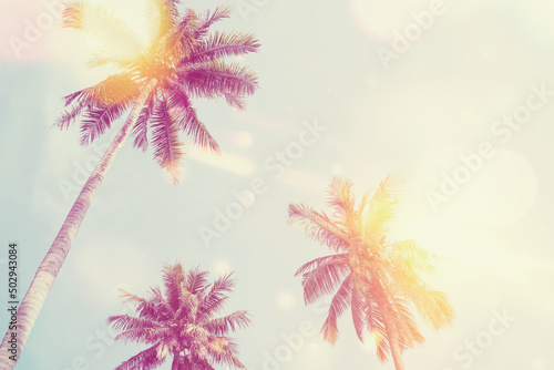 Copy space of silhouette tropical palm tree on sunset sky with bokeh light leak abstract background. Summer vacation and nature travel adventure concept.