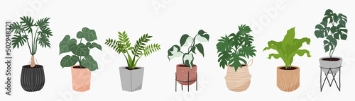 Fotografie, Obraz Potted plants collection on white background