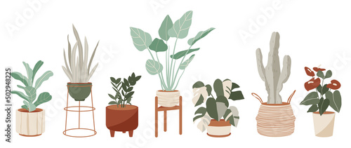 Potted plants collection on white background. Set of interior house plants with tropical plants, flowers, cactus, leaves. Different vintage indoor decor illustration for decoration, art, prints.
