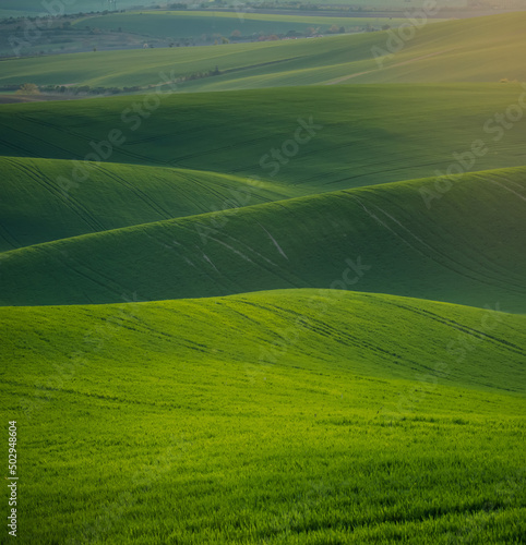 rolling green hills on the countryside © Agata Kadar