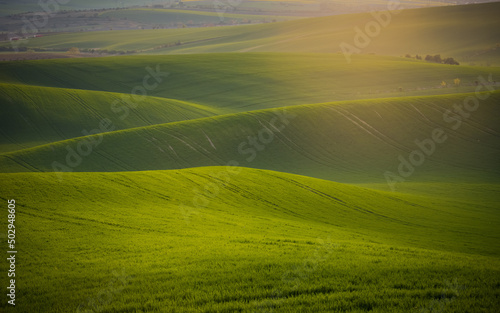 green field and sun © Agata Kadar