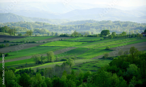 landscape with green fields