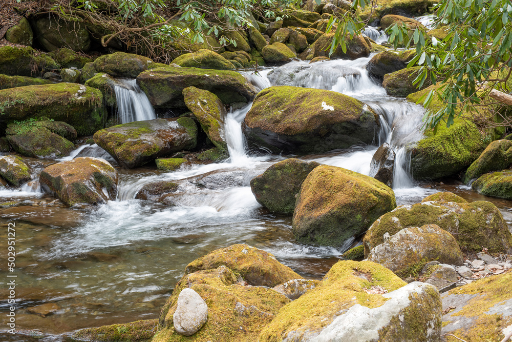 Copperhead Branch tributary of Indian Camp Creek, Great Smoky Mountains National Park, Tennessee Copperhead Branch tributary of Indian Camp Creek, Great Smoky Mountains National Park, Tennessee