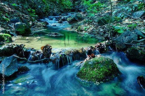 Foto 源流域の春の小川 / Spring Headwaters