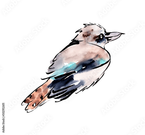 Australian birds. Watercolor sketch.
