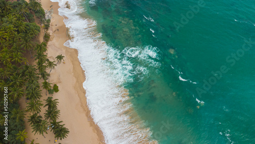 Tropical landscape, paradise beach, palm trees and ocean, travel drone photo.