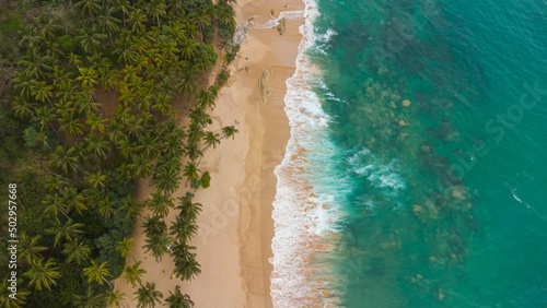 Tropical landscape, paradise beach, palm trees and ocean, travel drone photo.