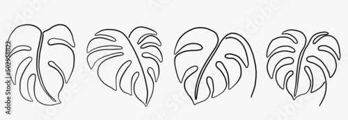 Simplicity monstera leaf freehand continuous line drawing flat design.