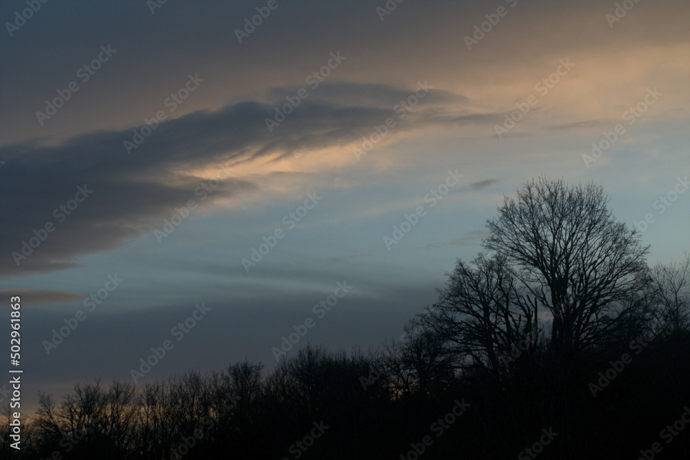 sunset in the forest,clouds, landscape, sunrise, cloud, nature, silhouette, night, dark, beautiful,evening,