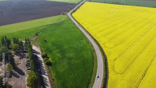 yellow and green field in Ukraine
