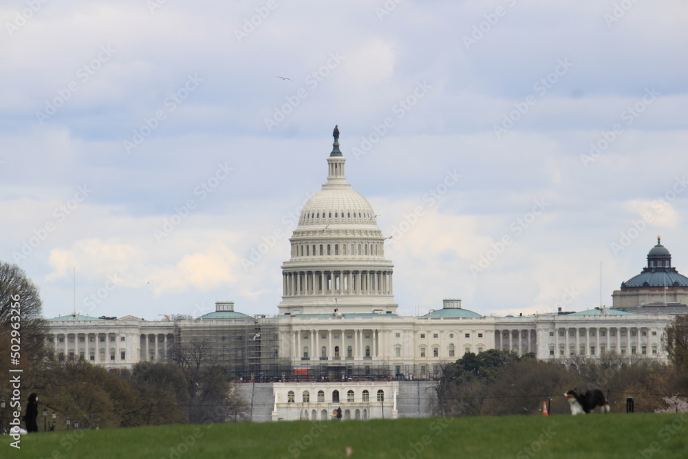 Fototapeta premium capitol building