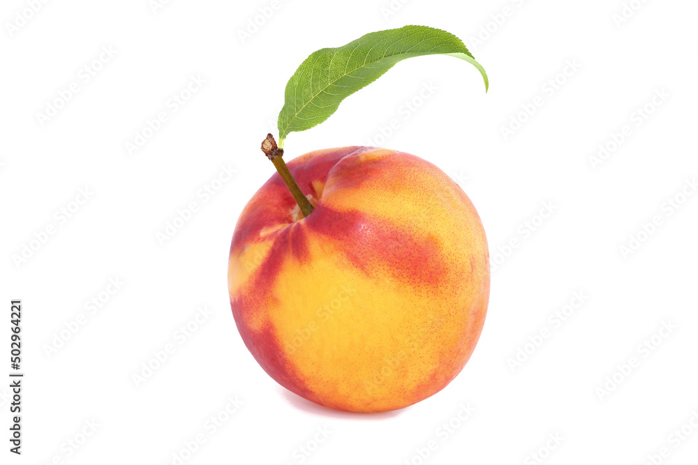Nectarine with leaf isolated on white Nectarine with leaf isolated on white