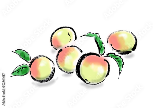 梅の実の 手描き和風イラスト