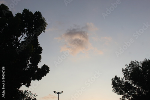Silhouette of trees and garden lights with the evening sky as the background