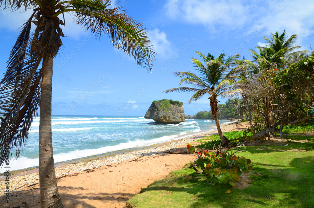 Barbados, Insel Küste Felsen