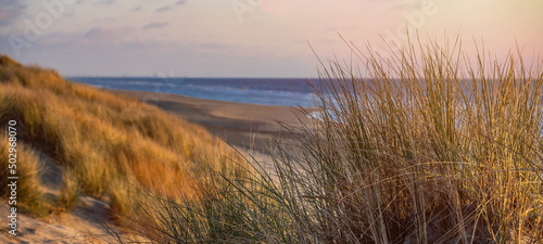 Panoramic North Sea landscape background banner - Panorama of sunset or sunrise and grass of the dune on the beach