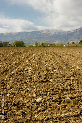 Rural landscape of the Treviso pre-Alps. Plowed field with the background of the mountains. Vertical image.