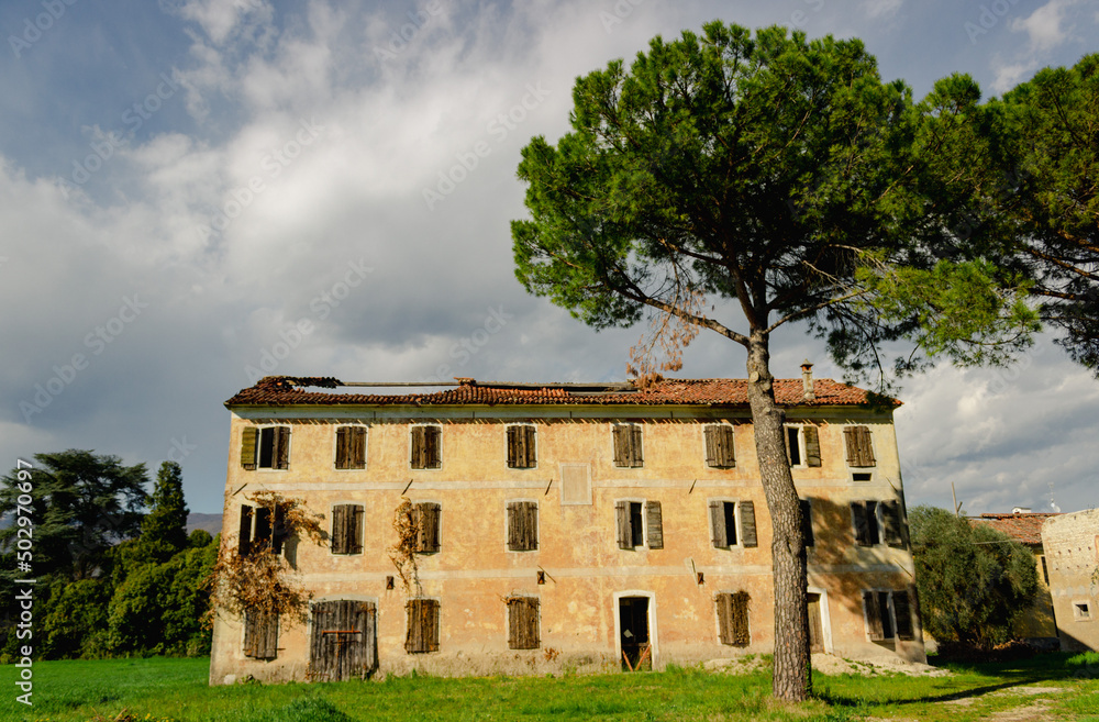 Rural Italian landscape. An old abandoned house with a maritime pine tree in front. In the background - cloudy sky. Cordignano, Italy.