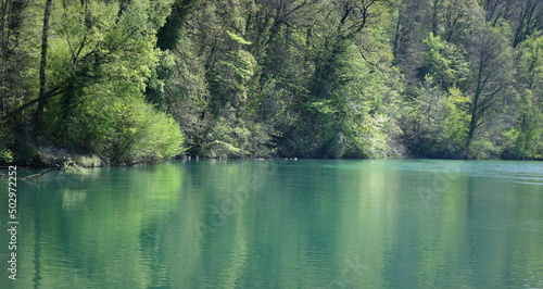 Fototapeta Naklejka Na Ścianę i Meble -  reflection of trees in water